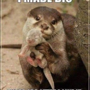 Meet your Posher, Donna